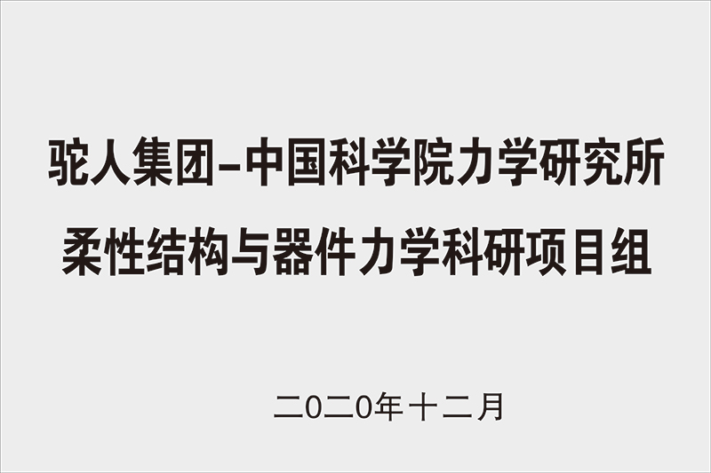 中科院——驼人柔性传感技术项目